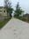 Apparent JB Garden Internal Roads 2