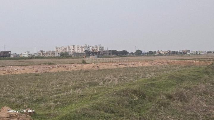Atala Main Image 1
