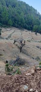 Image of 300 Sq.ft Residential Plot / Land for sale in Kausani, Almora for Rs. 2550000