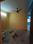 Shivam tower Bedroom 1