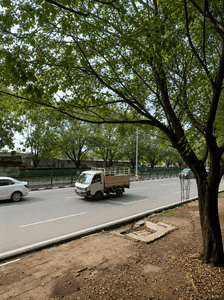 Image of 3600 Sq.ft 2 BHK Independent House for sale in Sector 71, Mohali for Rs. 77500000
