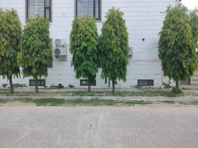 Image of 4500 Sq.ft Residential Plot / Land for sale in Sector 21C, Faridabad for Rs. 110000000