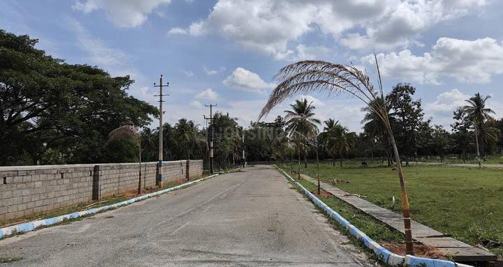 Nimishadri Estates Main Image 1