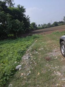 Image of 1361 Sq.ft Residential Plot / Land for sale in Mishriwala, Jammu for Rs. 1900000