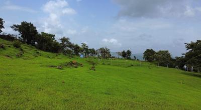 Image of 10000 Sq.ft Residential Plot / Land for sale in Khandad, Raigad for Rs. 350000