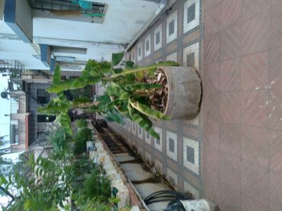Balcony Image of 1500 Sq.ft 2 BHK Villa for sale in Dhankawadi Pune for Rs. 11000000
