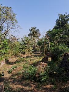 Image of 3250 Sq.ft Residential Plot / Land for sale in Aldona, Goa for Rs. 178750000
