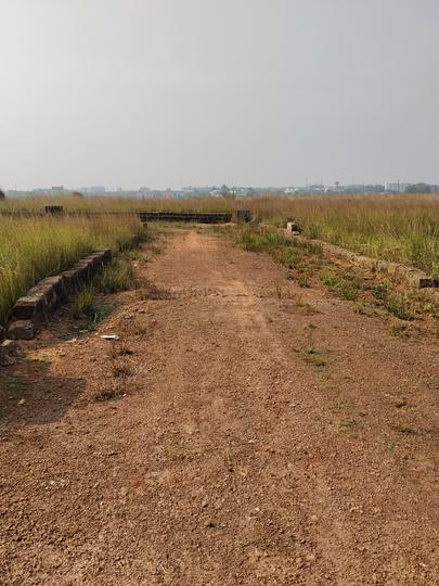 Barakuda Main Image 1