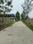 M M Jewel Park Township Internal Roads 2