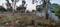 Rachenahalli Main Image 1