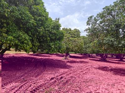 Image of 39300 Sq.ft Residential Plot / Land for sale in Kothapalle, Hyderabad for Rs. 60900000