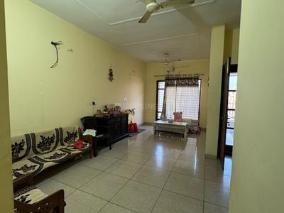 Hall Image of 1250 Sq.ft 2 BHK Builder Floor for rent in Gmada Aerocity Mohali for Rs. 30000
