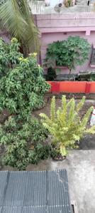 Image of 2520 Sq.ft 7 BHK Independent House for sale in Baguiati, Kolkata for Rs. 8000000