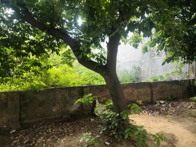 Image of 300 Sq.ft Residential Plot / Land for sale in Sigma 1, Greater Noida for Rs. 42000000