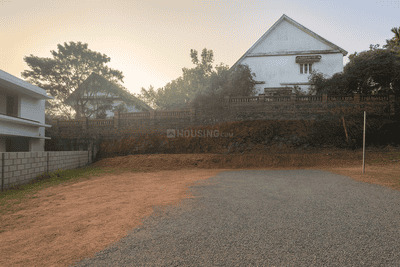 Kakkanad Plot View 1