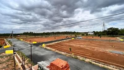 Annur Plot View 3