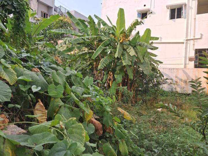 Chiranjeevi Layout, Hebbal Kempapura Main Image 1