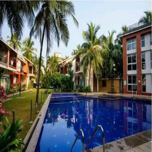 Image of 810 Sq.ft 2 BHK Apartment / Flat for sale in Arpora, Goa for Rs. 11000000