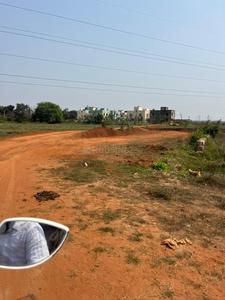 Kasipur Plot View 2