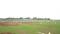 residential plot in naya raipur Main Image 1