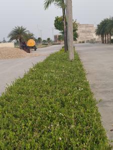 Image of 1250 Sq.ft Residential Plot / Land for sale in Signature Park, Mohanlalganj, Lucknow for Rs. 6000000