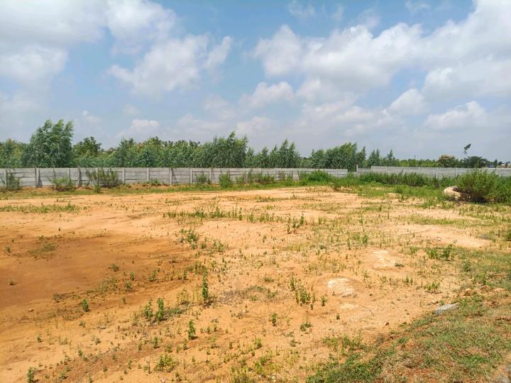 MS Developers Main Image 1