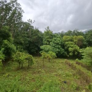 Image of 9600 Sq.ft Residential Plot / Land for sale in Mundur-I, Palakkad for Rs. 225000