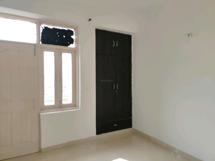 Tulip Orange Main Image 1