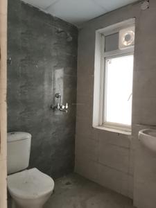 Common Bathroom Image of 750 Sq.ft 2 BHK Apartment / Flat for sale in Amrapali Dream Valley 2, Noida Extension Greater Noida for Rs. 6275000