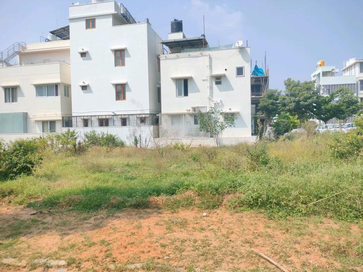 Green Cascade Main Image 1