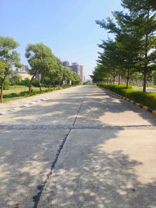 Image of 2250 Sq.ft Residential Plot / Land for sale in Orris Woodview Residencies, Sector 89, Gurgaon for Rs. 59200004