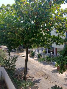 Balcony Image of 700 Sq.ft 1 BHK Builder Floor for rent in Besa Pipla Nagpur for Rs. 12000