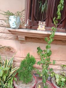 Balcony Image of 500 Sq.ft 4.5 BHK Independent House for rent in Kudi Bhagtasni Housing Board Jodhpur for Rs. 5000