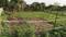 Bidholi Main Image 1