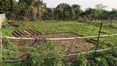 Bidholi Plot View 1