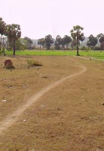 Image of 1200 Sq.ft Residential Plot / Land for sale in Madurantakam, Chennai for Rs. 540000