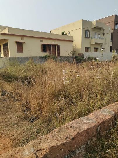 Tamando Main Image 1