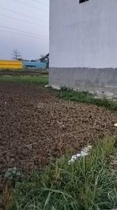 Image of 1200 Sq.ft Residential Plot / Land for sale in Pahari Village, Patna for Rs. 5500000