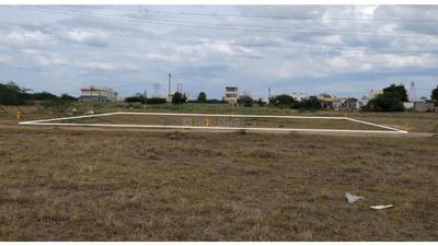 Prakash Nagar Plot View 2