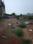 Tamando Plot View 2