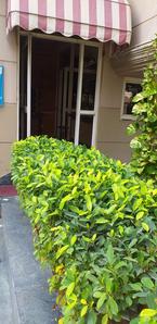 Image of VASUNDHRA PG in Sector 14, Gurgaon