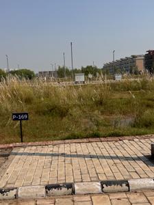 Image of 1350 Sq.ft Residential Plot / Land for sale in Jubilee City Gardens, Sector 116, Mohali for Rs. 13650000