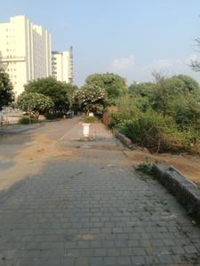 Image of 250 Sq.ft Residential Plot / Land for sale in Ireo City Plots, Sector 60, Gurgaon for Rs. 80000000