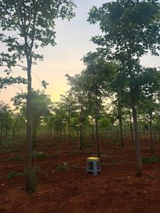 Image of 10800 Sq.ft Residential Plot / Land for sale in Donakonda, Prakasam for Rs. 1050000