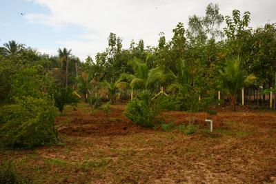 Image of 5000 Sq.ft 5 BHK Villa for sale in Kalapet, Viluppuram for Rs. 35000000