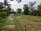 Golden city 2 Plot View 2