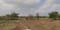 Chandsi plots Plot View 2