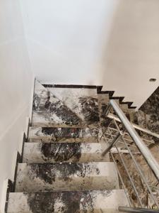 Image of 453 Sq.ft 2 BHK Independent House for sale in Sector 105, Gurgaon for Rs. 7990000
