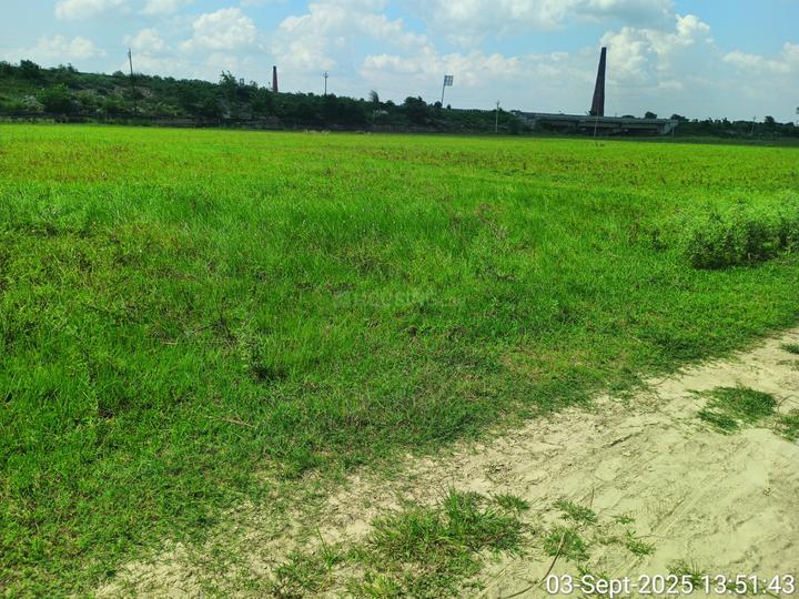 Shahpur Main Image 1