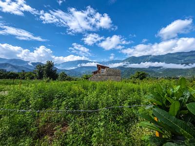 Image of 260 Sq.ft Residential Plot / Land for sale in Bhagwant Pur, Dehradun for Rs. 16900000
